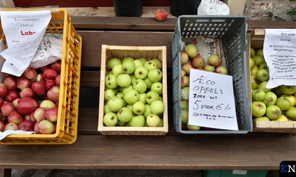 Groente en fruit vers van het land van Æbe Poutsma.