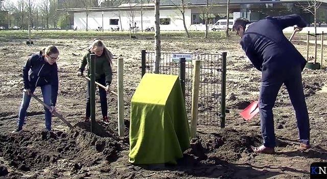 Boom van de Vrijheid geplant in Groene Hart (video)