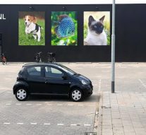 Diertotaal Firma Boer verhuisd naar Ambachtstraat