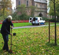 Bloemenpracht geplant in Stadspark