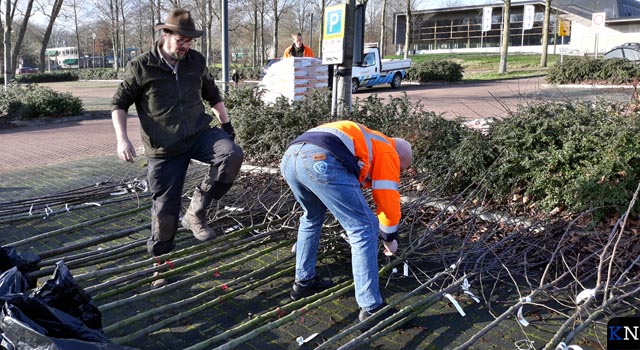 Rijkelijk bomen uitgedeeld bij stadhuis