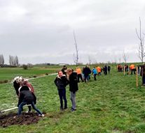 Nationale Boomfeestdag 2019 in Kampen tersluiks gevierd