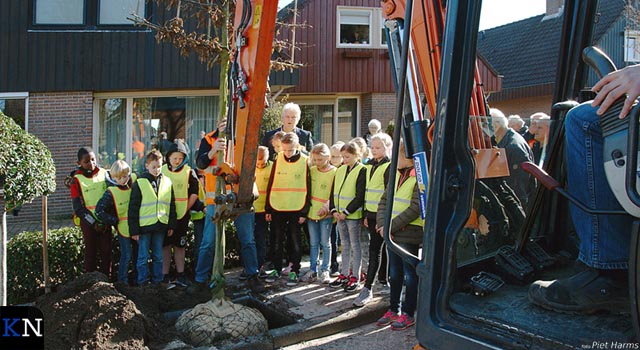 Kampen en IJsselmuiden verrijkt met haagbeuken en fruitbomen