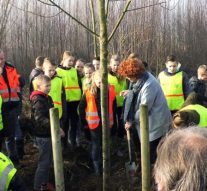 Nationale Boomfeestdag levert bijdrage aan groenstructuur Trekvaart