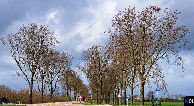 Provincie Overijssel duldt geen herplantnalatigheid meer