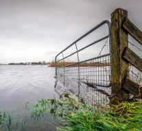 Waterpeilen stabiliseren maar blijven hoog