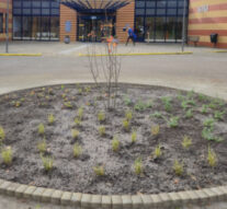 Kunstwerk voor polikliniek Kampen verwijderd en vernietigd