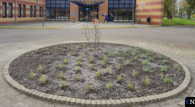 Kunstwerk voor polikliniek Kampen verwijderd en vernietigd