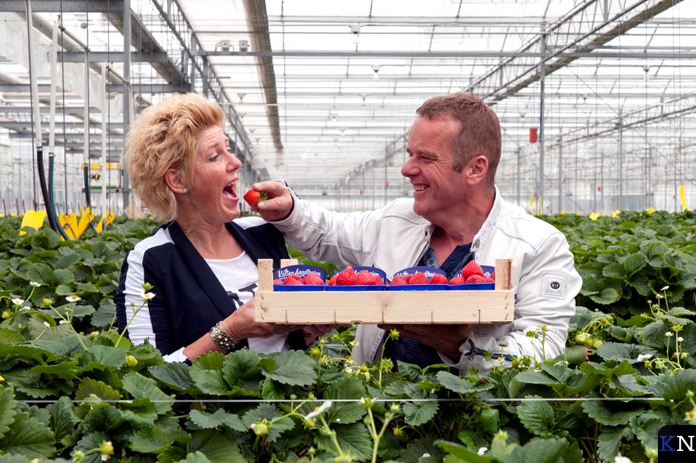 Annet en Richard Kalter proeven hun eigen aardbeien