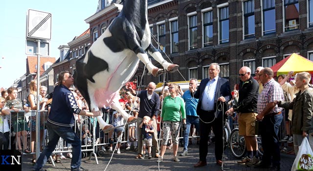 Koe bungelt weer aan Nieuwe Toren (video)