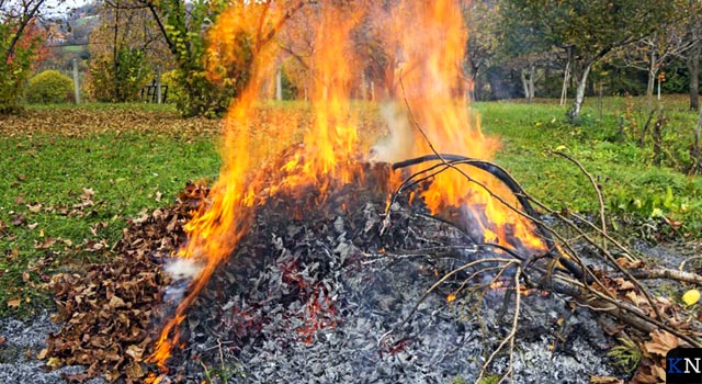 Verbranding hout snoeiafval in buitengebied niet meer toegestaan