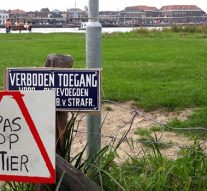 Pachter verplaatst ”onder protest” stier en pinken