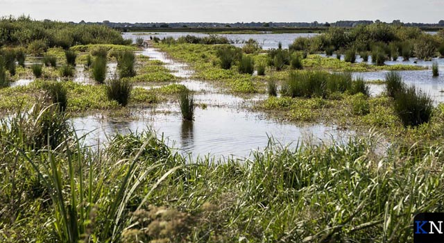 Oost-Nederland wijst Den Haag op hun kracht