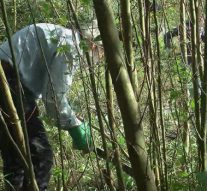 Terrein voor Voedselbos gereed gemaakt (video)