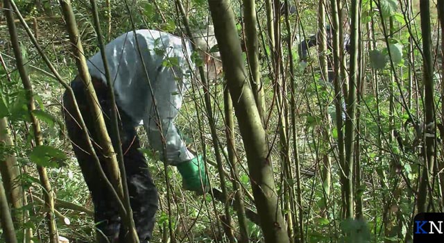 Terrein voor Voedselbos gereed gemaakt (video)