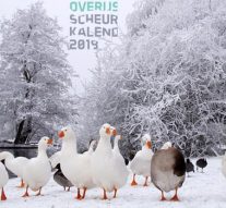 Veel Kamper kiekjes op Overijsselse scheurkalender 2019