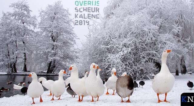 Veel Kamper kiekjes op Overijsselse scheurkalender 2019