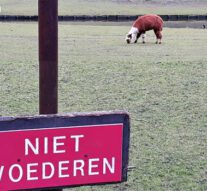 Dieren in hertenkamp overleden na illegaal voeren