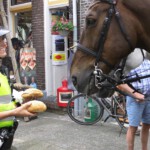 Het politiepaard heeft ook wel trek in een paar broodjes.