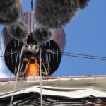 Blik richting kraaiennest.