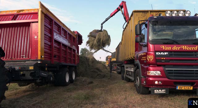 Maaien dijken WDO Delta gegund aan Van der Weerd Grafhorst