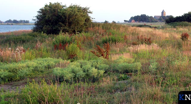 Plantensociologische Kring bezoekt Zalkerwaard