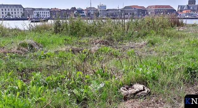 VVD en D66 vragen opnieuw aandacht voor stadsstrand