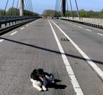 Molenbrug weer open maar N50 twee weken dicht